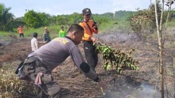 Cuaca Panas, Sejumlah Titik Api Muncul di Bengkayang Kalbar