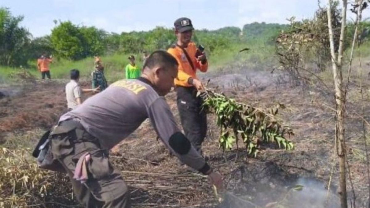 Cuaca Panas, Sejumlah Titik Api Muncul di Bengkayang Kalbar