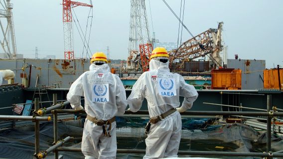  Waduh, Media Jepang Sebut Bahan Kimia Radioaktif Ditemukan dalam Madu Fukushima