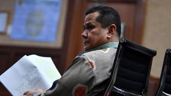 Joko Tjandra dan Pinangki 'Tersenyum' Palu Hakim Putuskan Diskon Hukuman, Irjen Napoleon Tetap 4 Tahun