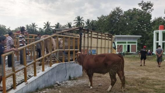 Kalau kita lihat Gojek yang dimotori Mas Nadiem Makarim saya kira itu